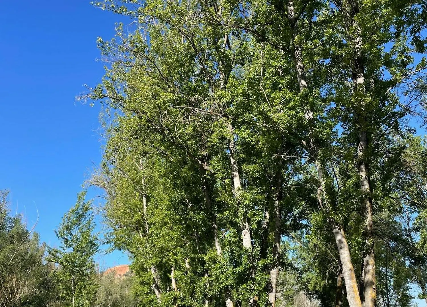 Apartmán Apartamento Ruta Del Veleta Cenes De La Vega